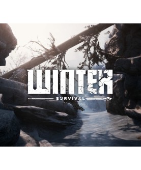 Winter Survival Steam Key EUROPE